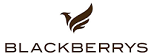 blackberry logo