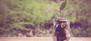 Generate Growth and Profit through Supplier Innovation