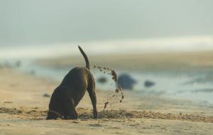 The Two Obvious Challenges of Digital Transformation that Everyone Ignores