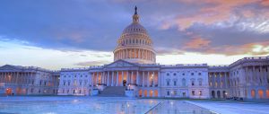 Public Sector eProcurement Implementation: Ways to Mitigate Risk and Ensure Success