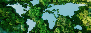 Carbon Neutrality by 2050: The Net Zero Journey