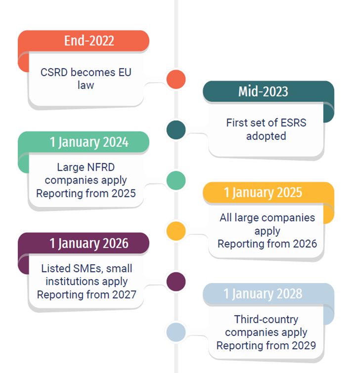 CSED Infographic